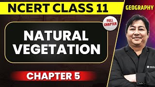 Natural Vegetation FULL CHAPTER  Class 11 Geography NCERT Chapter 5  OnlyIAS [upl. by Eslehc]