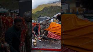 kedarnath mein bhole Baba ke darshan kedarnath shorts youtubeshorts ytshorts [upl. by Mills]