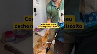 Como saber se seu cachorro gosta do petisco [upl. by Nnaira71]