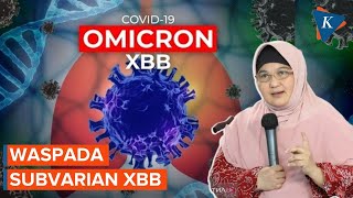 Subvarian Omicron XBB Banyak Serang Usia Muda dan Belum Pernah Terinfeksi [upl. by Nahtaj]