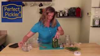 Episode 9 Garlicky Dill Pickles [upl. by Pebrook]