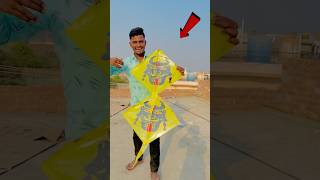 FLY A DOUBLE KITE 😱 shorts pkcrazyexperiments [upl. by Ozneral]