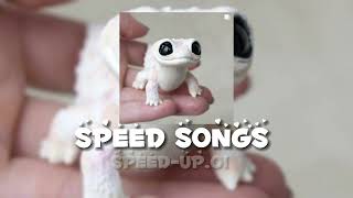 Speed Songs 1 [upl. by Milla980]