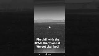 THERMION 2 LRF XP50 PRO hunting thermionlrf pulsar [upl. by Nolte]