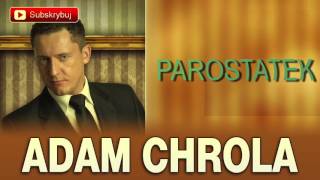 Parostatek  Adam Chrola Cover [upl. by Idok]