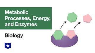 Metabolic Processes Energy and Enzymes  Biology [upl. by Odnumde]