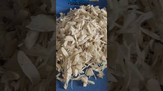 Mushroom recipemushroom kaise banate hainvairalvideo youtube shorts mushroom recipe [upl. by Turro662]