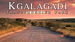 Kgalagadi Transfrontier National Park  Experience rugged terrain and Wildlife in Africa [upl. by Pollie258]