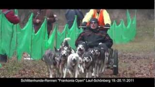 SchlittenhundeRennen quotFrankonia Openquot LaufSchönberg 1920112011 [upl. by Carver]