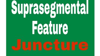 Juncture  Suprasegmental Feature  In urdu [upl. by Llesirg]