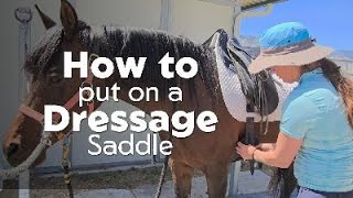 How to put on a dressage saddle the right way [upl. by Bonner648]