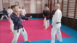 TAIHO JUTSU  KANO RYU  MEICHI RYU  SEMINARIO PORTUGAL 2024 [upl. by Ailahtan]