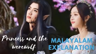 Princess and the werewolf Ep 3 dmdramadramaexplainedmalayalamdramamalayalamprincessandwarewolfma [upl. by Ibloc]