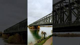 🌉Südbrücke  South Bridge youtubeshorts mainz germancity daytrip ytshorts [upl. by Hodge354]