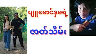 ပျူမောင်နှမရဲ့ ဇာတ်သိမ်း [upl. by Aicele636]