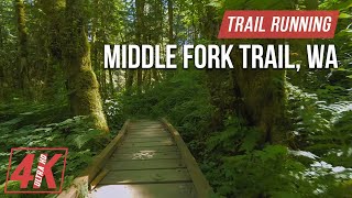 Trail Running along Middle Fork Trail  4K Virtual Forest Run for Treadmill Workout Nature Sounds [upl. by Aihppa470]