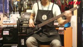 【池部楽器店】 厳選Fretless Bass特集  Steinberger Sprit XT2 FL Mod [upl. by Eelanna]