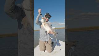 23 inch Redfish fishing godfish frenzytackle fish [upl. by Merari658]