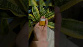 HOMEMADE NIGHT CREAM 🥰 youtubeshorts viralshorts trending diy [upl. by Ramah]