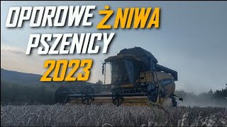 ✓Żniwa Pszenicy 2023✓ RSP Czudec New Holland CX5080 amp New Holland T7200 amp T7165s amp T5120 [upl. by Justinian]