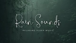 1 Hour Relaxing Rain Sounds for Sleep Study amp Stress Relief  Rainfall Ambience [upl. by Fitalludba826]