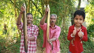 പാമ്പല്ല മീനാണ് യമണ്ടൻ മനഞ്ഞിൽ പൊരിച്ചത്  Giant Eel Fish Fry [upl. by Intosh]