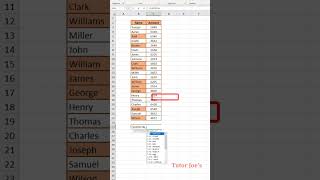 Using Subtotal Function and Filter in Excel  Tutor Joes [upl. by Erb]