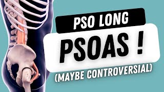 Is PSOAS Really the Culprit Behind Your Hip Pain [upl. by Aokek]