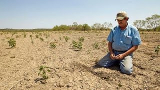 Cómo Superar la Temporada de Sequía en la Agricultura  TvAgro por Juan Gonzalo Angel [upl. by Manella907]