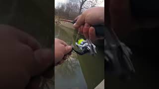 BANK FISHING for CRAPPIE‼️ Full vid on my channel‼️ [upl. by Ahpla]