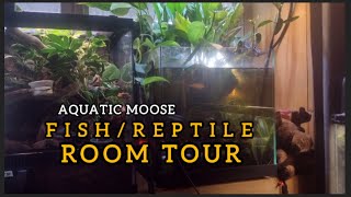 FishReptile Room Tour Aquatic Moose [upl. by Ynnohj781]