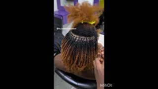 NATURAL HAIR TWIST STYLES  TWIST HAIRSTYLE FOR NATURAL  MINI TWISTS braids hairstyletwist [upl. by Refotsirc]