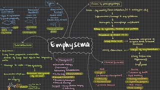 Emphysema Pathology Respiratory system [upl. by Adihaj]