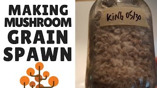 How To Make Mushroom Grain Spawn Preparing the Grain [upl. by Einomrah352]