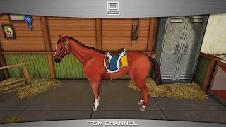 Horse World 3D  My Riding Horse part 8 Horse Game [upl. by Bixby]