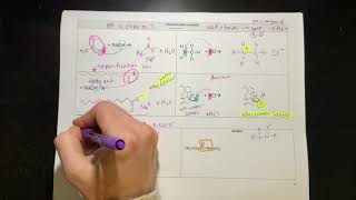 Intro to esters and amides [upl. by Enylhsa]