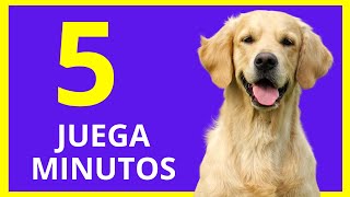 🐶5 MINUTOS de SONIDOS para JUGAR con tu PERRO  Sonidos para Perros Para Que Muevan la Cabeza [upl. by Havener]