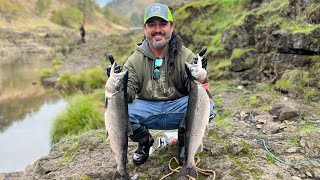 My nicest catch of the year King and Coho in one tripsubscribe fishing fish [upl. by Rollie]