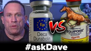 DECA vs EQUIPOISE Better MASS Builder askDave [upl. by Gearard]