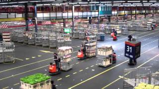 Topdrukte FloraHolland Aalsmeer  Rush hour Flower auction [upl. by Arielle]