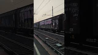 E494 db cargo con Rivalta Chiasso a Bressana Bottarone [upl. by Shaper37]