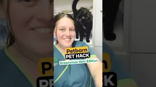 How to check your pet for ticks  Pet Hack with GreencrossVetsAustralia petcareadvice [upl. by Linsk145]