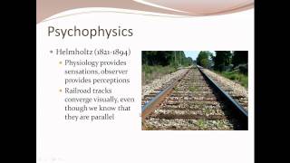 3Ps  Physiology Phrenology and Psychophysics [upl. by Nelac]