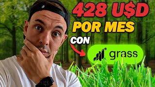 Esta EXTENSION nos PAGA SIN INVERSION  Airdrop Grass 🌱 [upl. by Helbonna]