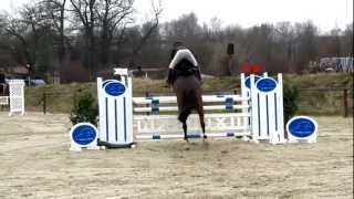 REITTURNIER in HERFORD 2013  LATY ENTRY  DONNERSTAG  VIDEO 2 [upl. by Nilknarf]