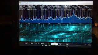 YAESU FTDX5000 SPECTRUM SCOPE  WATERFALL  IK2YFT [upl. by Airdnola]