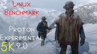 RDR2  5K NATIVE  LINUX BENCHMARK  Experimental Mesa [upl. by Lipp926]