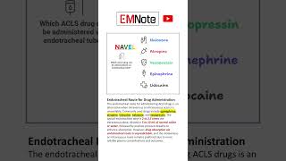 ACLS Drugs Via ETT NAVEL [upl. by Onaled889]