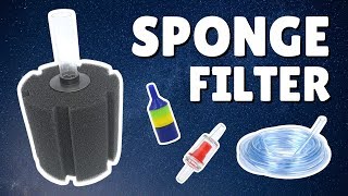 How to Install a Sponge Filter  3 Bonus Tips [upl. by Coombs920]