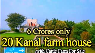 20 Kanal farm house with Cattle Farm For Sale in kallar kahar prime location reasonable price [upl. by Kati164]